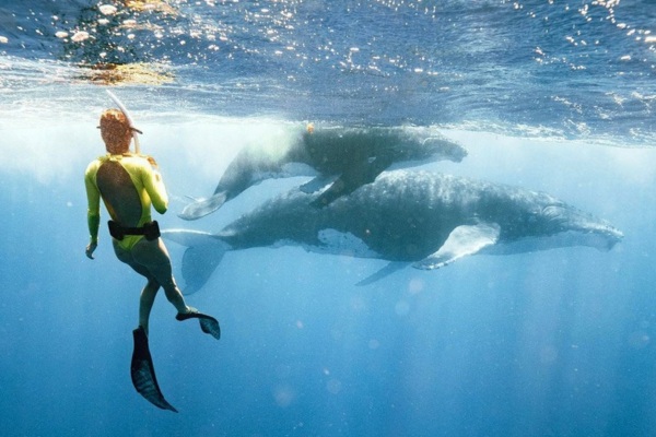 Nature Encounters