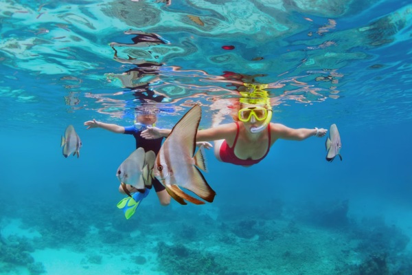 Snorkeling Tours